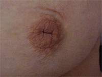 Sorry! Picture not possible for you.